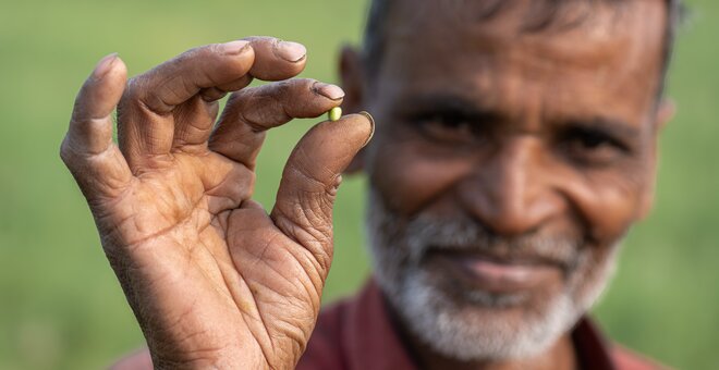 Breaking the Stigma of Grasspea in South Asia