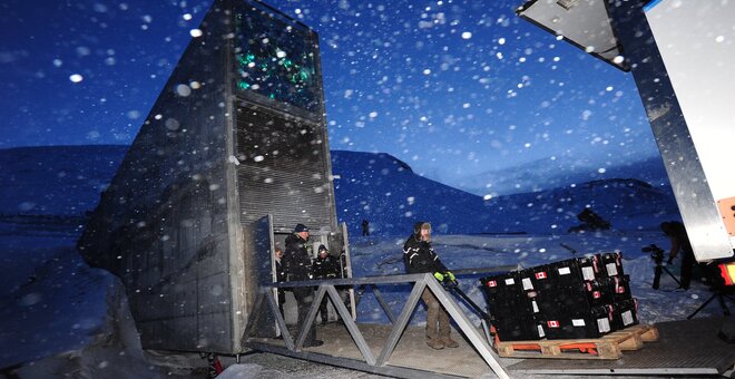 Seeds being deposited at the Svalbard Global Seed Vault.